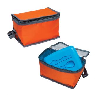 Cooler Bag and Multipurpose Pouch