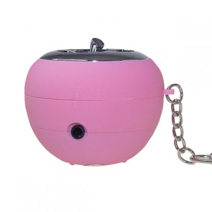 IT0314 USB Apple Shape Speaker