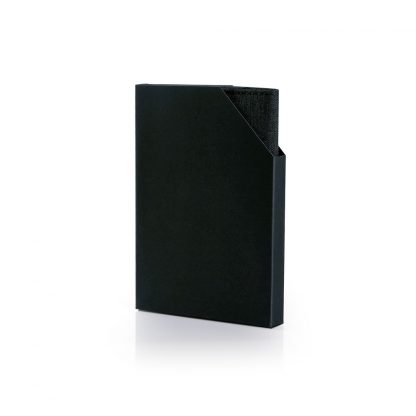 LSP0635 Snow Canvas Passport Holder