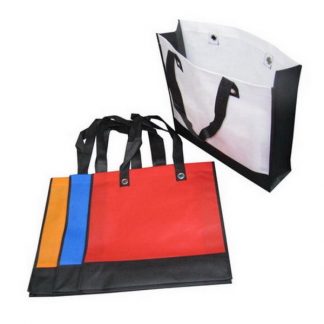 NWB0030 100gsm Non Woven Bag