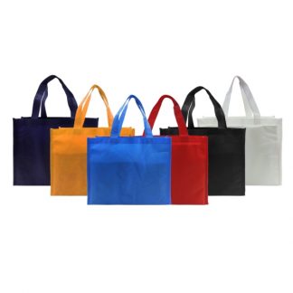 NWB0035 80gsm Non-Woven Bag