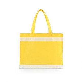 NWB0050 Non Woven Bag