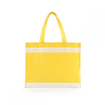 NWB0050 Non Woven Bag
