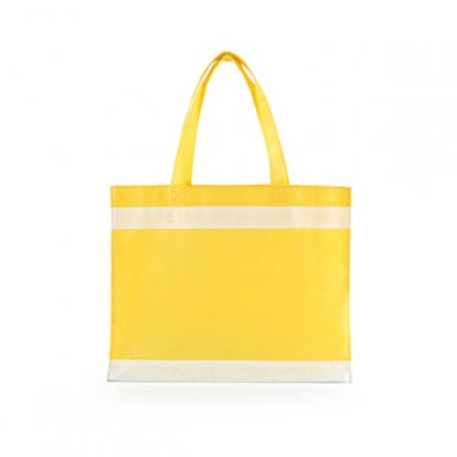 NWB0050 Non Woven Bag