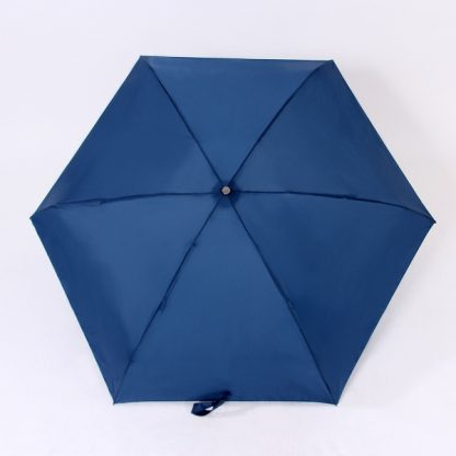 UMB0035 Foldable Umbrella with EVA Hard Capsule Casing Pouch